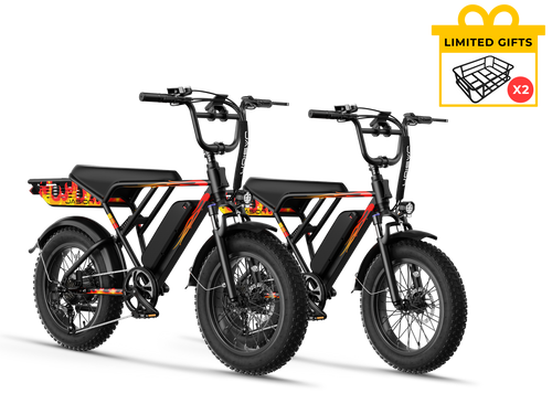 Kombi-Angebot – RetroVolt*2