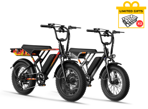 Kombi-Angebot – RetroVolt*2