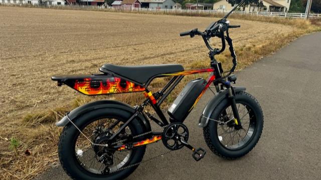 10 Benefits of Owning an Electric Bike: Why More Europeans Are Switching to E-Bikes