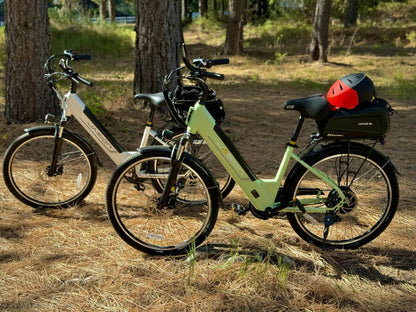 Jasion EB5 Roamer ST Ebike
