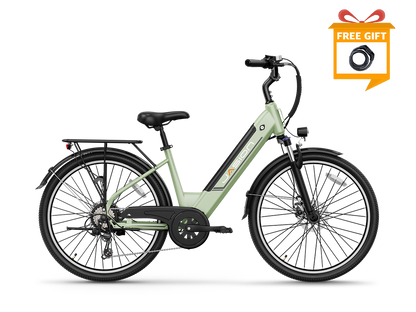 Jasion EB5 Roamer ST E-Bike