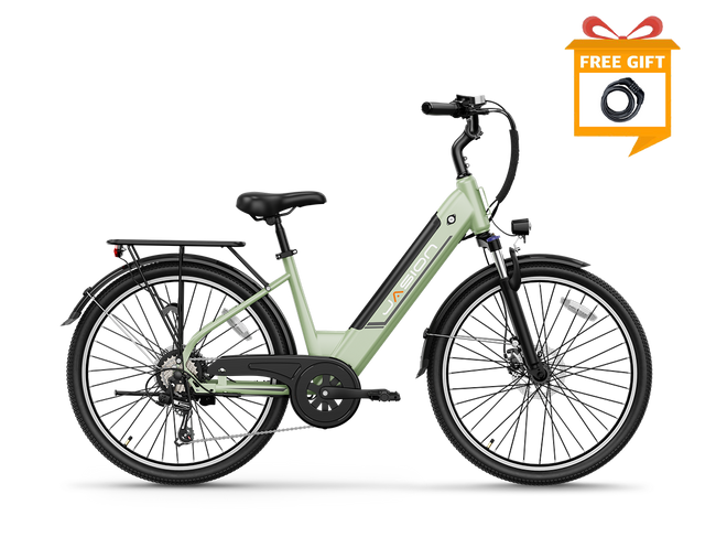 Jasion EB5 Roamer ST Ebike