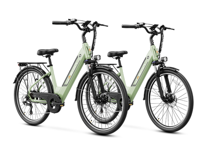 Jasion EB5 Roamer ST Ebike