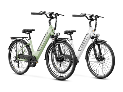 Jasion EB5 Roamer ST Ebike