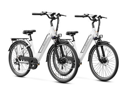 Jasion EB5 Roamer ST Ebike