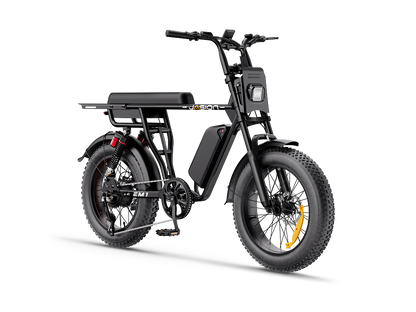 Jasion EM1 Ebike