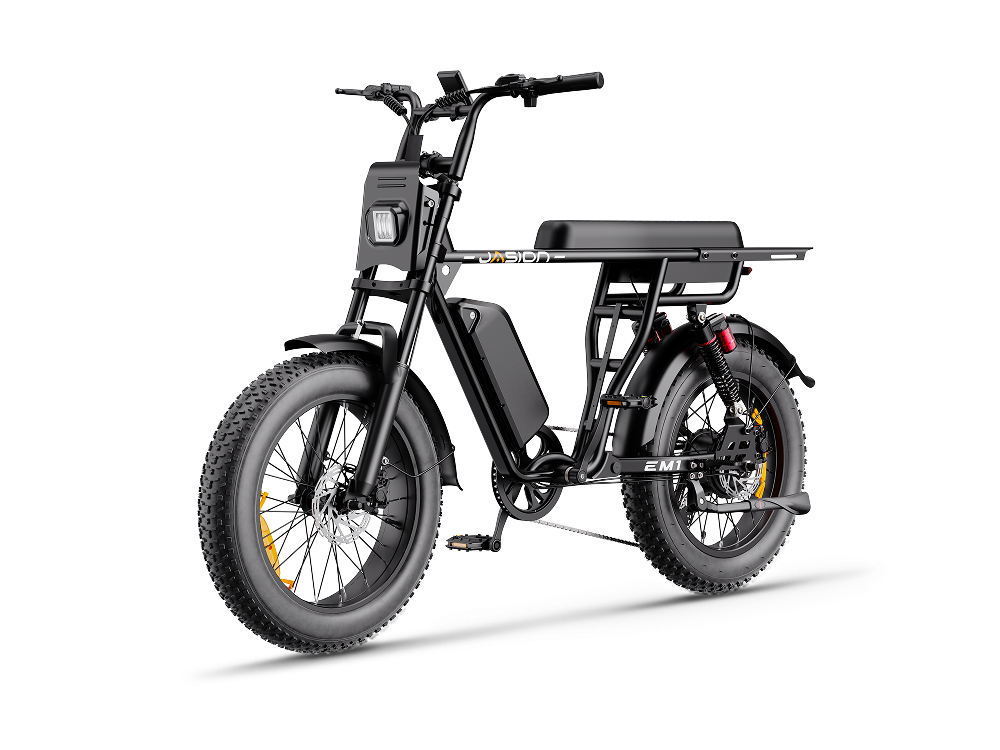 Jasion EM1 Ebike