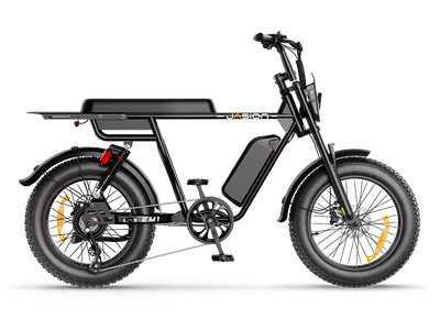Jasion EM1 Ebike