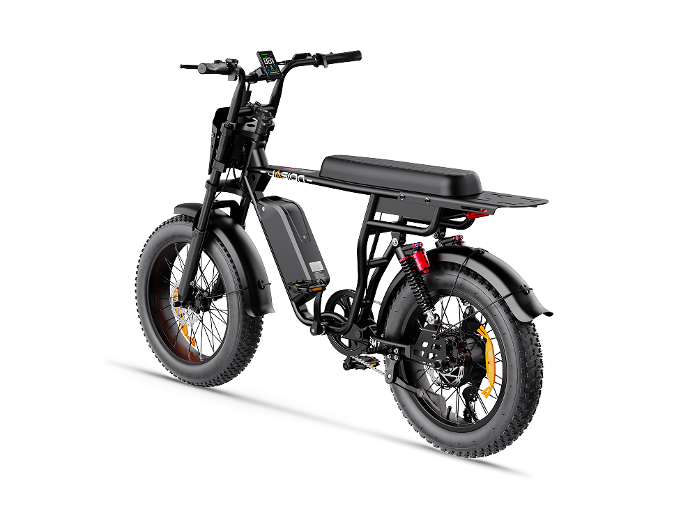 Jasion EM1 Ebike