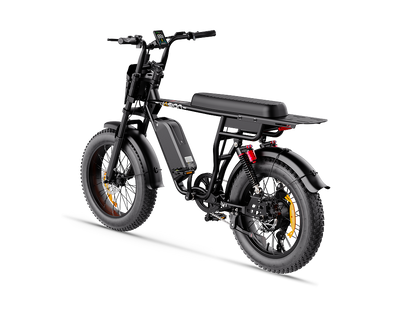 Jasion EM1 Ebike