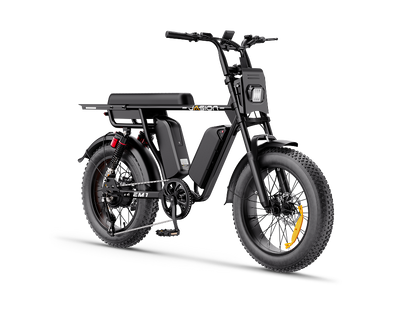 Jasion EM1 Ebike