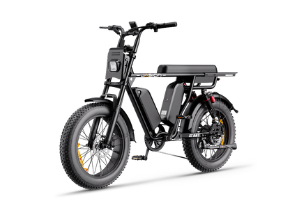 Jasion EM1 Ebike