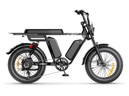 Jasion EM1 Ebike