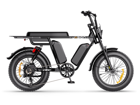 Jasion EM1 Ebike