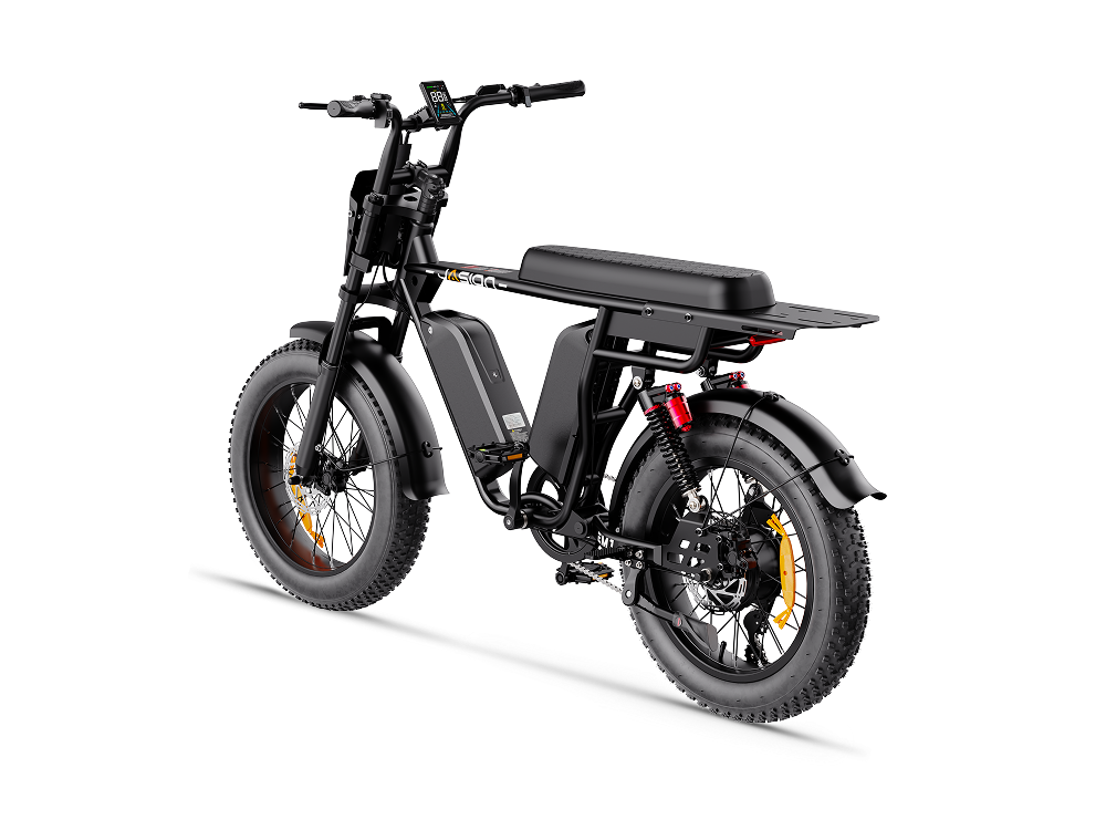 Jasion EM1 Ebike