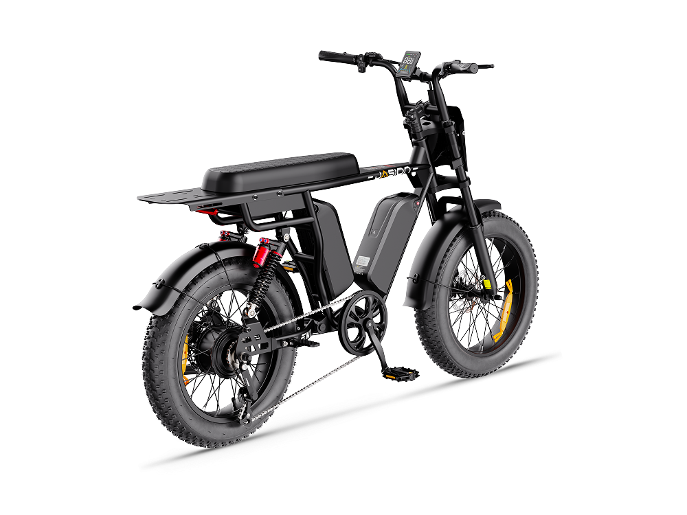 Jasion EM1 Ebike