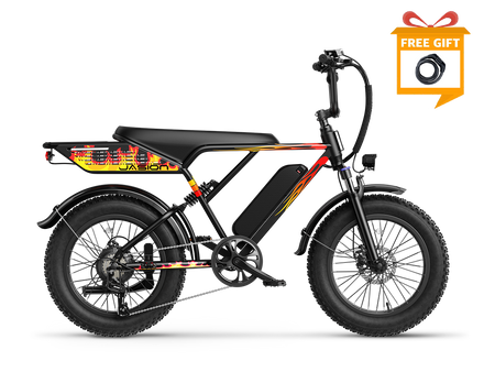 Jasion RetroVolt Ebike